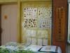 DSC04510.JPG